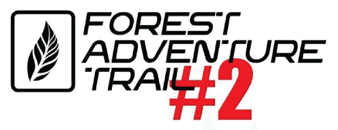 Forest Adventure Trail