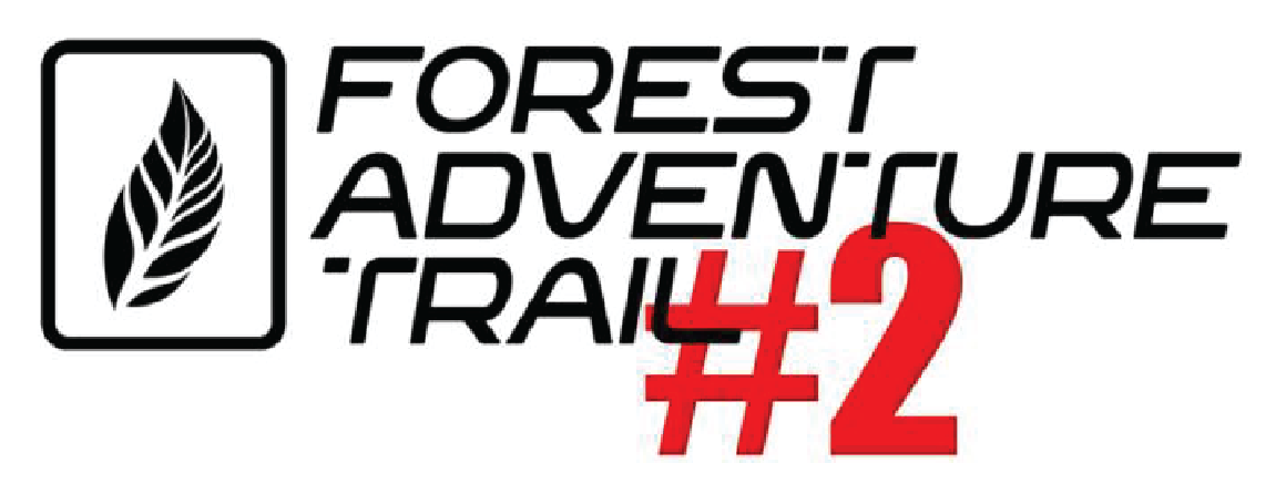 Forest Adventure Trail